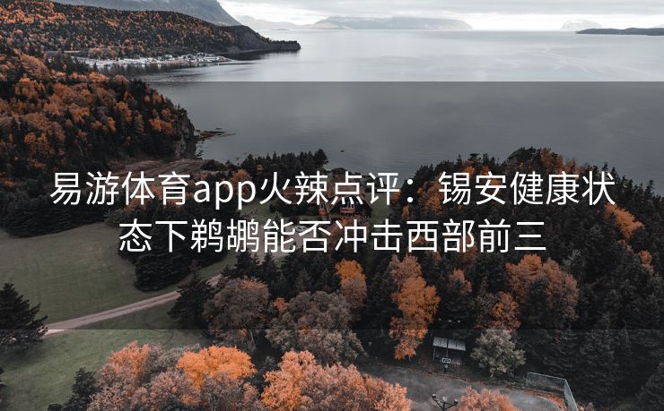 易游体育app火辣点评：锡安健康状态下鹈鹕能否冲击西部前三  第2张