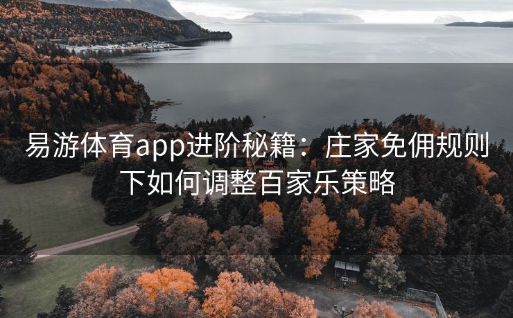 易游体育app进阶秘籍：庄家免佣规则下如何调整百家乐策略  第2张