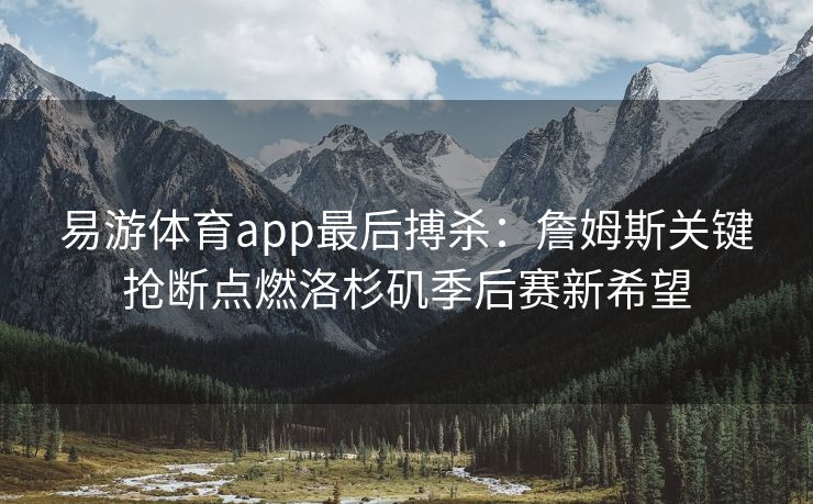 易游体育app最后搏杀：詹姆斯关键抢断点燃洛杉矶季后赛新希望  第1张