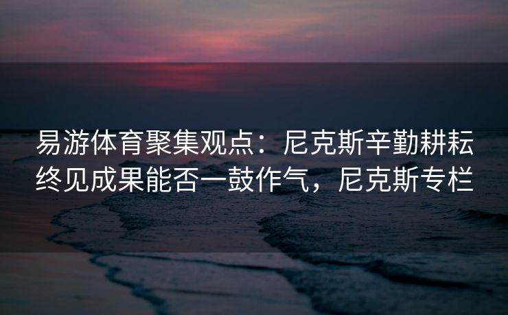 易游体育聚集观点：尼克斯辛勤耕耘终见成果能否一鼓作气，尼克斯专栏  第2张