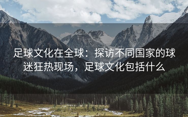 足球文化在全球：探访不同国家的球迷狂热现场，足球文化包括什么  第2张