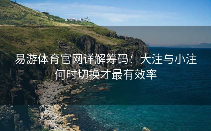 易游体育官网详解筹码：大注与小注何时切换才最有效率  第1张