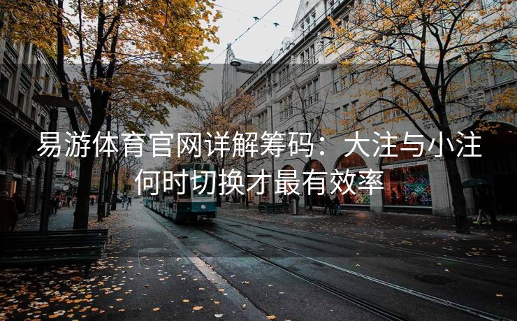易游体育官网详解筹码：大注与小注何时切换才最有效率  第2张