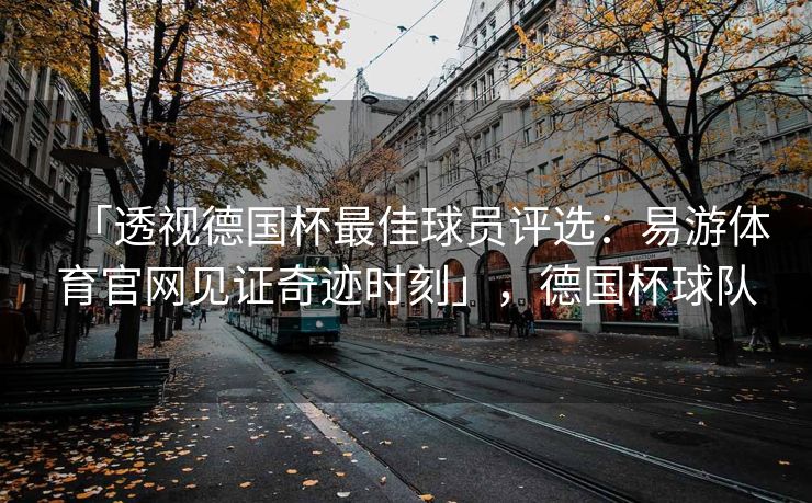 「透视德国杯最佳球员评选：易游体育官网见证奇迹时刻」，德国杯球队  第2张