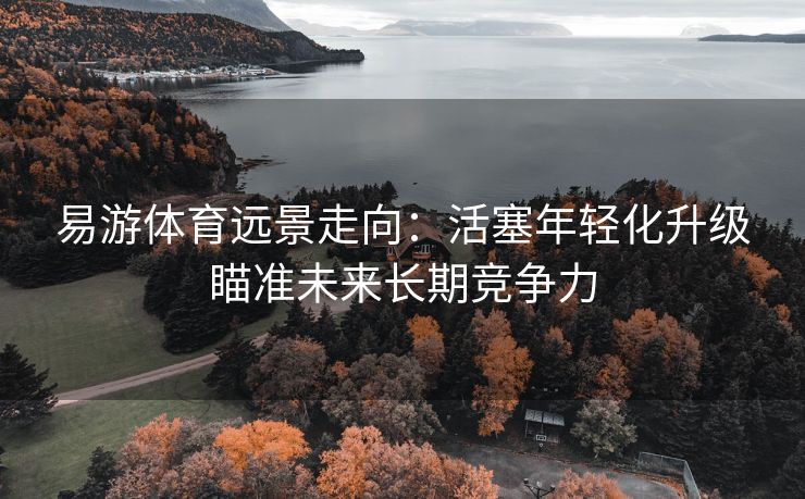 易游体育远景走向：活塞年轻化升级瞄准未来长期竞争力  第2张